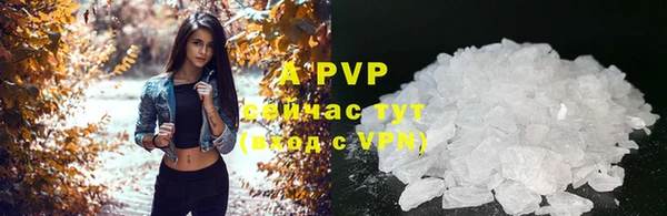 ALPHA PVP Белокуриха