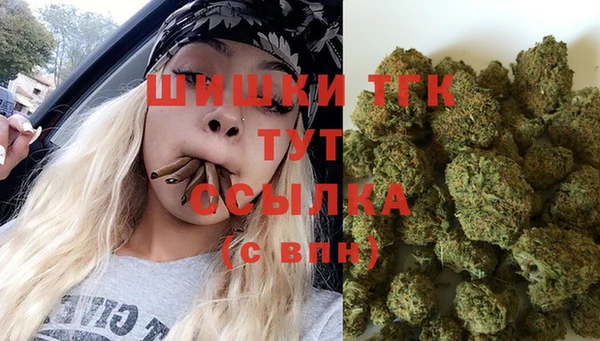мяу мяу кристалл Гусь-Хрустальный