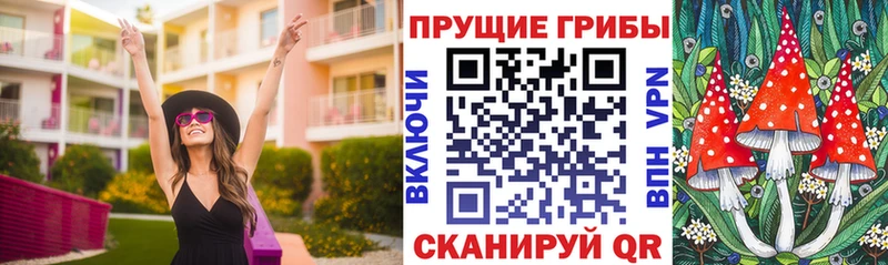 Псилоцибиновые грибы GOLDEN TEACHER  мега ONION  Болотное 